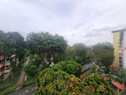 Blk 88 Commonwealth Close (Queenstown), HDB 3 Rooms #440483871